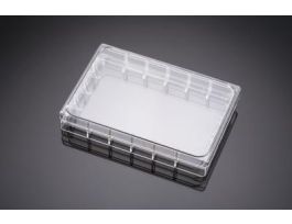 TRAY FEEDER W/LID 24WE ST CS5.