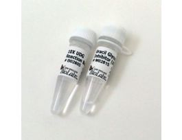 URACIL GLYCOSYLASE INHIBITOR (