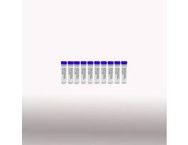 50MG/ML KANAMYCIN 10X1ML