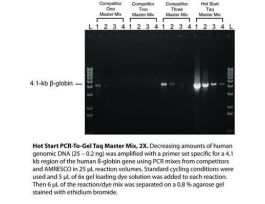 HOT START PCR-GEL TAQ MIX 2X 100RXN/1ML