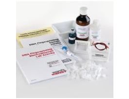 DNA FINGERPRINTING ELECTROPHORESIS LAB S