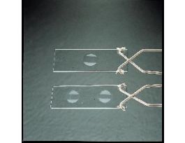 MICRO DOUBLE SHALLOW WELL PK/12 1 X3