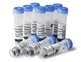 MAG BEADS HIS MAG SEPHAROSE EXCEL 10ML