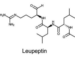 LEUPEPTIN PROTEOMICS GRADE 5MG