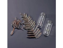 FERN LIFE HISTORY PM SET/4