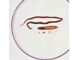 INTERNAL PARASITE COLLECTION PM SET/7