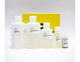 ZYMOBIOMICS DNA 96 MAGBEAD (50RXN)