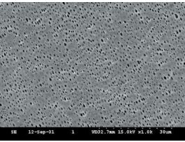 NL16 0.2UM 50MM PK100