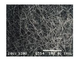 FILTER TISSUQUARTZ 9CM F/AIR-MONTPK25