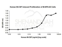 HUMAN M-CSF 10UG