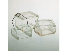 SLOT. MICROSCOPE SLIDE STAIN DISH
