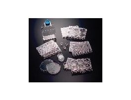 FLASK LAMININ 75CM2 RO CS10.