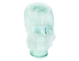 VWR ALCON HOOD WHT CS500.