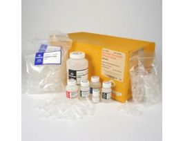 RELIAPREP BLOOD GDNA MINI SYS 250 PREPS