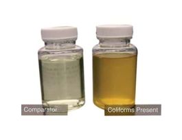 Colitag Comparator, P/A 100-mL Format; 1/Ea