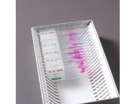 HUMAN PATHOLOGY SET SET/15