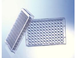 PLATE 96W PS FLAT BT CL CS150