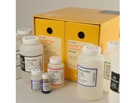 MAGAZORB(R) DNA MINI-PREP KIT 200 PREPS