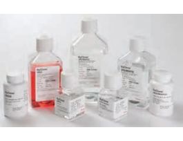 HBSS 1X W/O CA MG PR 1000ML