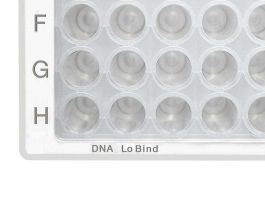 MICROPLATE 96/V-PP CLEAR/WHITE DNA CS80