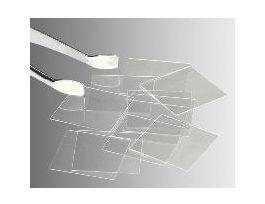 VWR COVERGLASS NO.2 25MM. CS