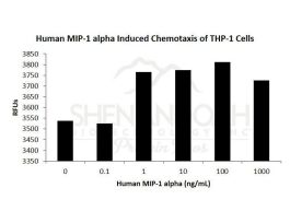 100-15-500UG HUMAN MIP-1 ALPHA / CCL3