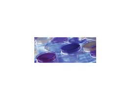 EMB agar, Levine, 10/pk