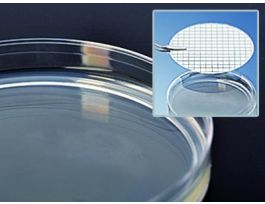 MEDIUM TRYPTIC SOY AGR 15X60MM PLTD PK10