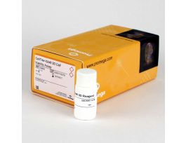 CELLTITERGLO 3D CELL ASY 100ML