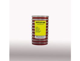 INTSA PLATE W/5% SB,CS100X25MLIN