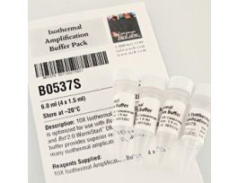 ISOTHERMAL AMPLIFICATION BUFFE.