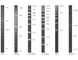DNA MARKER 50-1000 BP