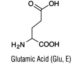 L-GLUTAMIC ACID FREE HI-PU GRADE 1KG