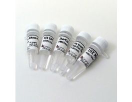 SHORTCUT RNASE III - 650 U