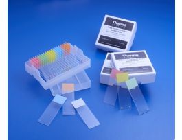 SLIDE PERMAFROST ADH TAN PK72 PK