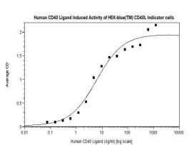 100-25AF-500UG HUMAN CD40 LIGAND (AF)