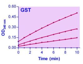 GLUTATHIONE S-TRANSFERASE ASSAY KIT