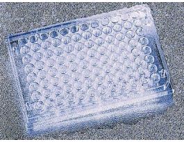 PLATE FLAT BOTTOM 96 LID CS50.