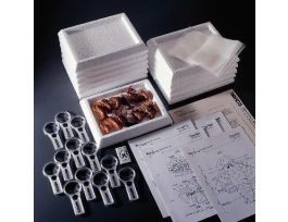 ADVANCED CRAYFISH DISSECTION LAB