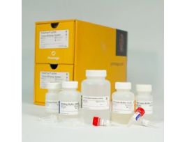 RELIAPREP GDNA TISSUE MINI SYS 250 PREPS