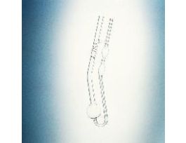 TUBE VISCOM CANNON-FENSKE 300