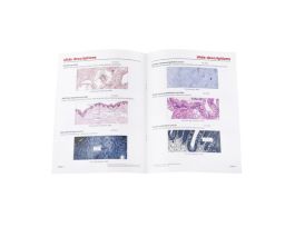 EPITHELIAL TISSUE GENERAL SET/11