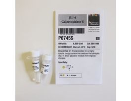 BETA 1-4 GALACTOSIDASE S P0745S