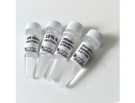 PNGASE F - GLYCEROL FREE