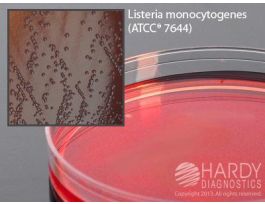 MEDIUM PALCAM 15X100MM PLTD LISTER PK10