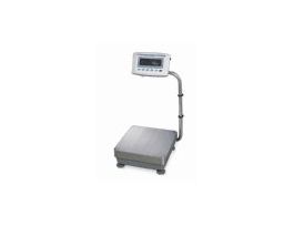 Washdown Industrial Scale, 31kg x 0.1g 115V