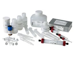 COLUMN GSTRAP HP 34UM 5ML F/PUR HIS PRT