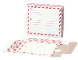 MAILING SLEEVE 1TUBE CS300