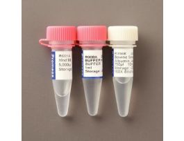 HIND III RESTR ENZ 5000 10U/ULPROMEGA