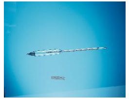 VWR HYDROMETER 9-21 BE 300MM